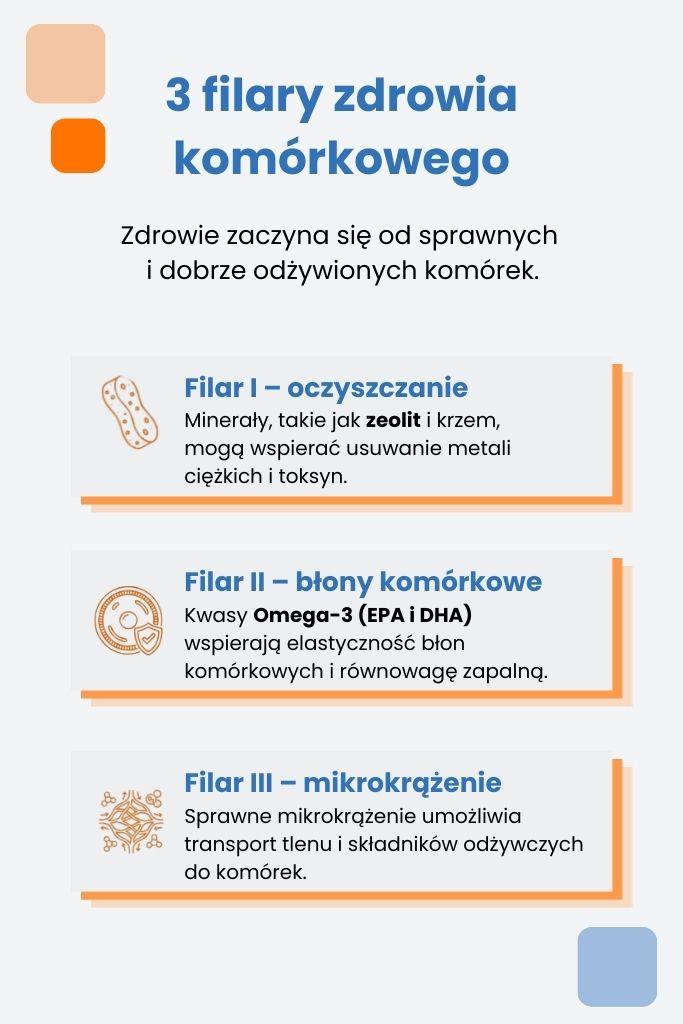 Filary zdrowia komórkowego - infografika