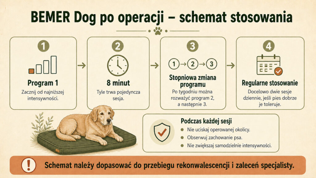 Schemat stosowania BEMER Dog podczas rehabilitacji psa po operacji
