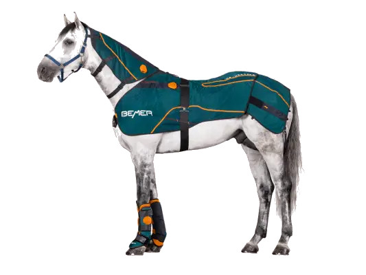 zestaw bemer horse premium