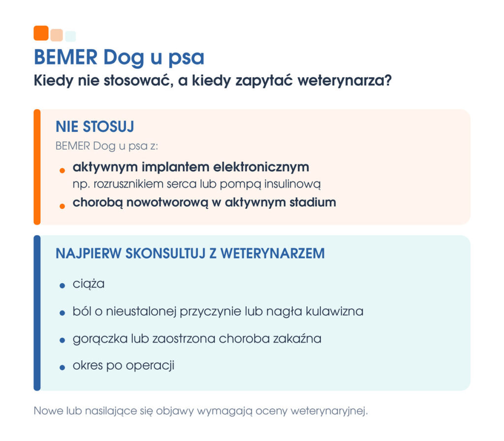 Przeciwwskazania do stosowania BEMER Dog oraz sytuacje wymagające konsultacji z weterynarzem