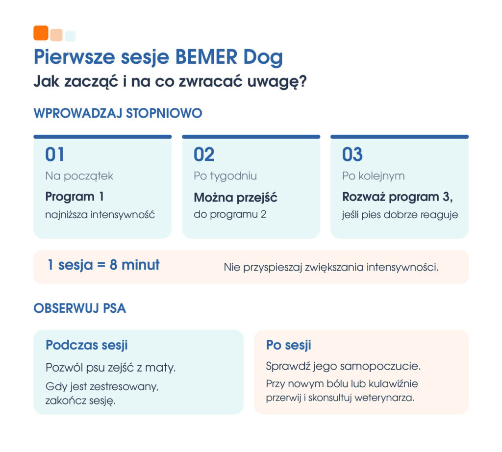 Schemat pierwszych sesji BEMER Dog i wskazówki dotyczące obserwacji psa